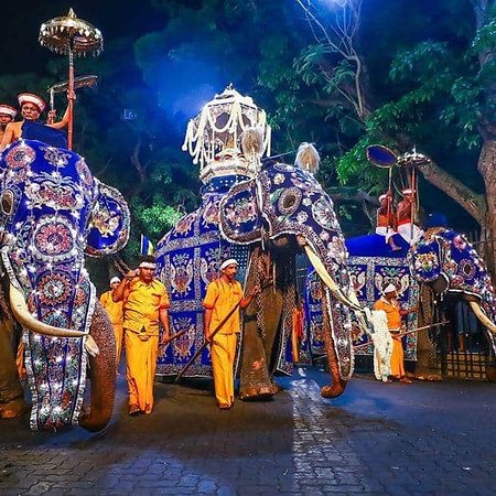 Esala Perahera - Kandy - Cultural and Traditional Attire - Acoustic Rhythms.